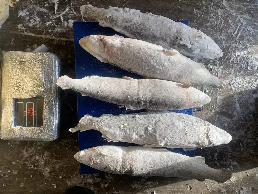 Фотография продукта Арктический речной омуль подледного улов